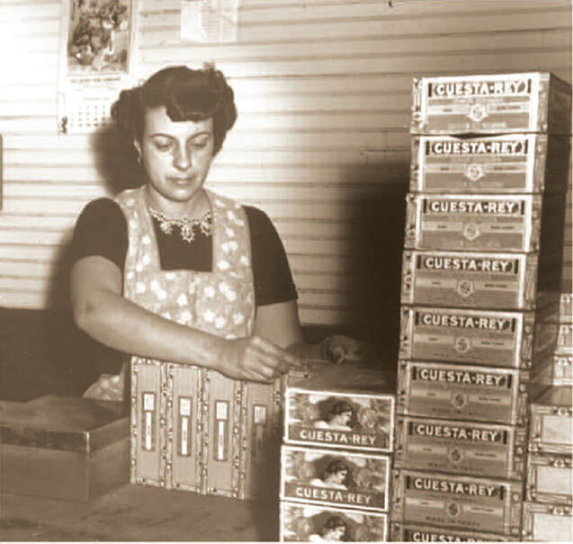 Outer labels were pasted onto boxes at the factory.