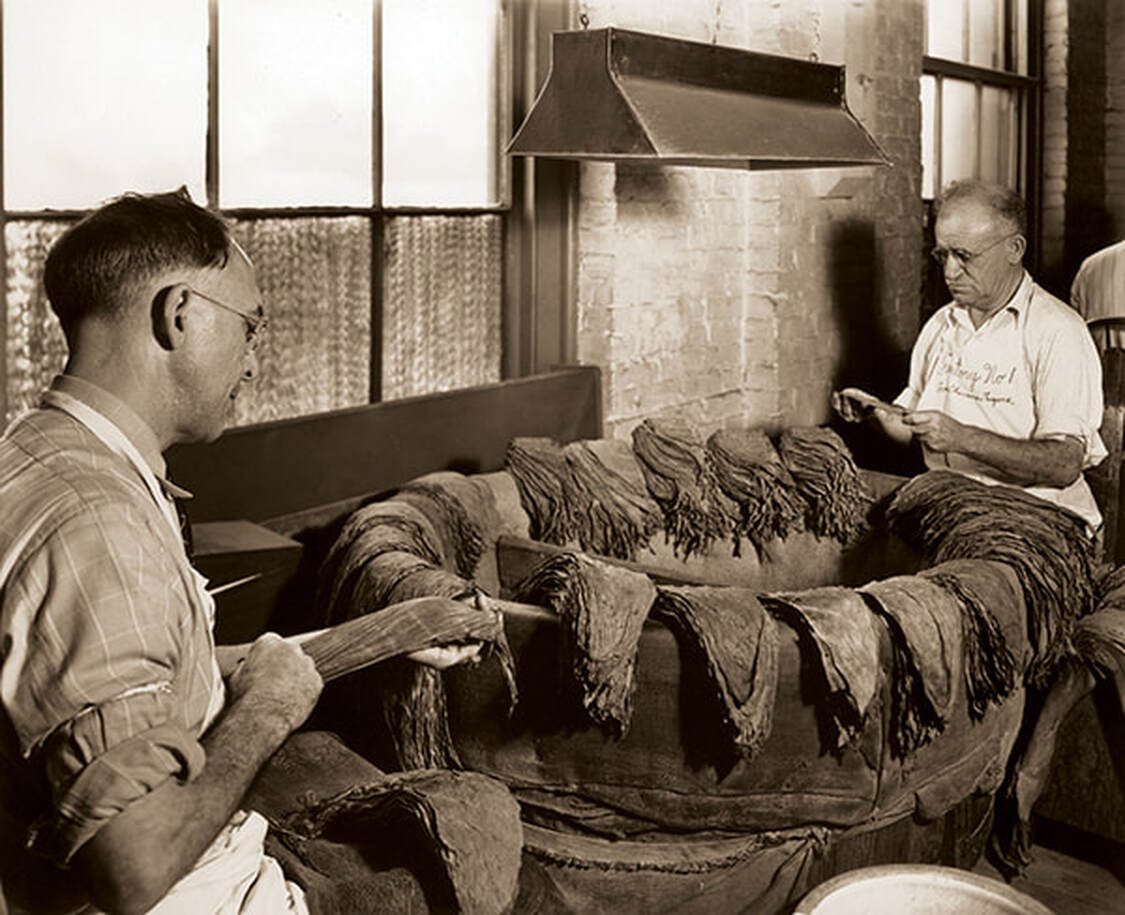 Selectors carefully determine the color, texture, and quality of the tobacco.