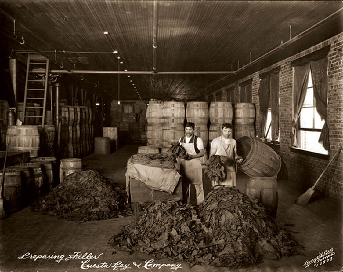 Workers prepare re-humidified leaves.